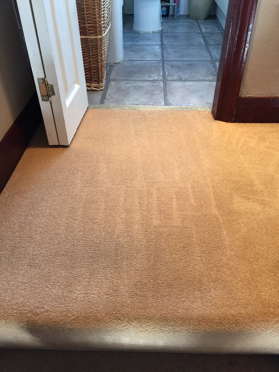 Cleaner: Image 6